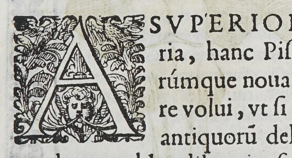 An illustration from Phutobasanos siue Plantarum aliquot historia : in qua describuntur diuersi generis plantae veriores, ac magis facie viribúsque respondentes antiquorum Theophrasti, Dioscoridis, Plinij, Galeni, aliorúmque delineationibus, ab alijs hucusque non animaduersæ., 1592, leaf 143