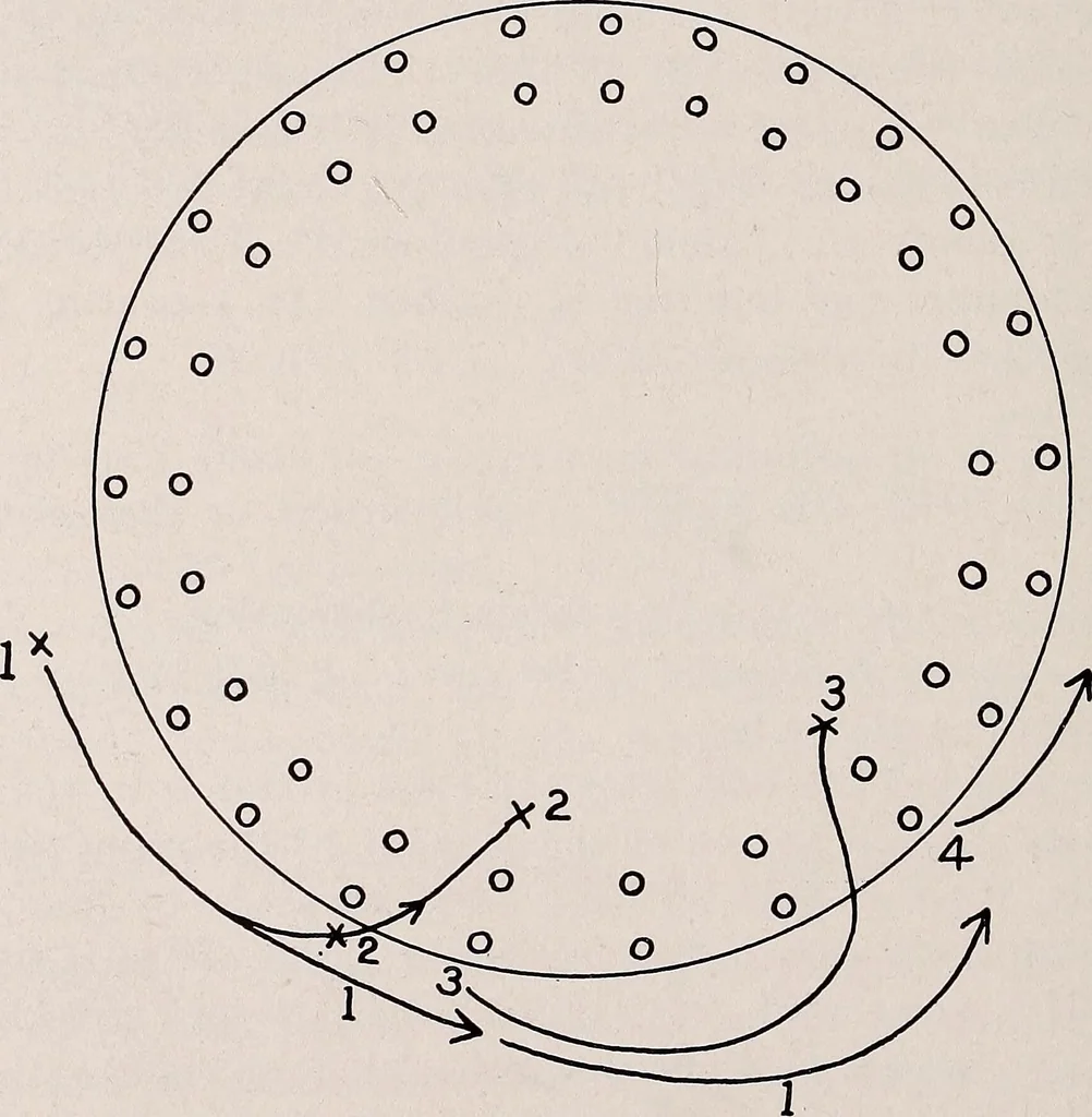 An illustration from Physical education complete for schools and playgrounds, 1915, leaf 143