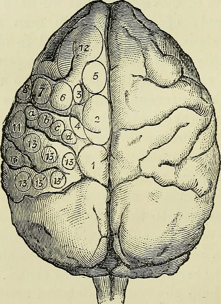 An illustration from Physical expression : its modes and principles, 1885, leaf 113