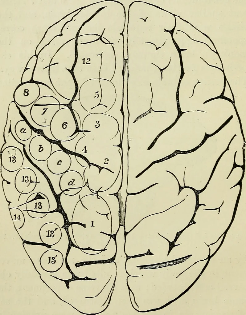 An illustration from Physical expression : its modes and principles, 1885, leaf 115