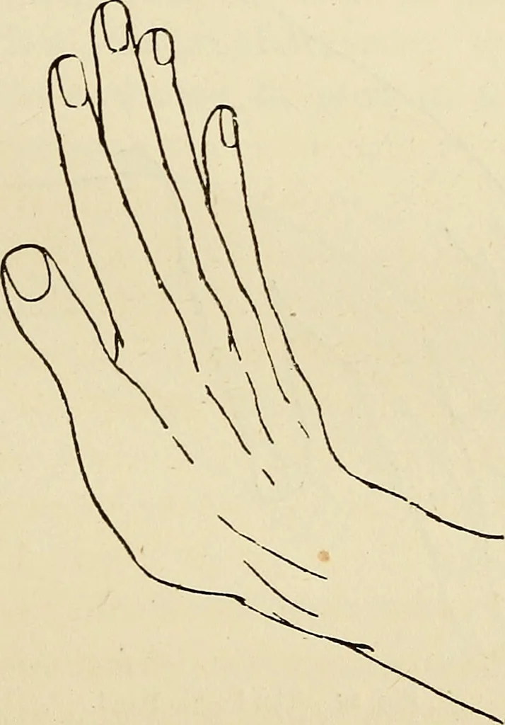 An illustration from Physical expression : its modes and principles, 1885, leaf 184