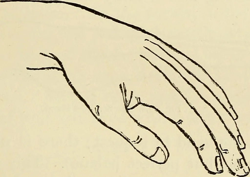 An illustration from Physical expression : its modes and principles, 1885, leaf 186