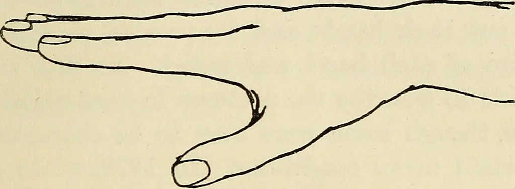 An illustration from Physical expression : its modes and principles, 1885, leaf 188