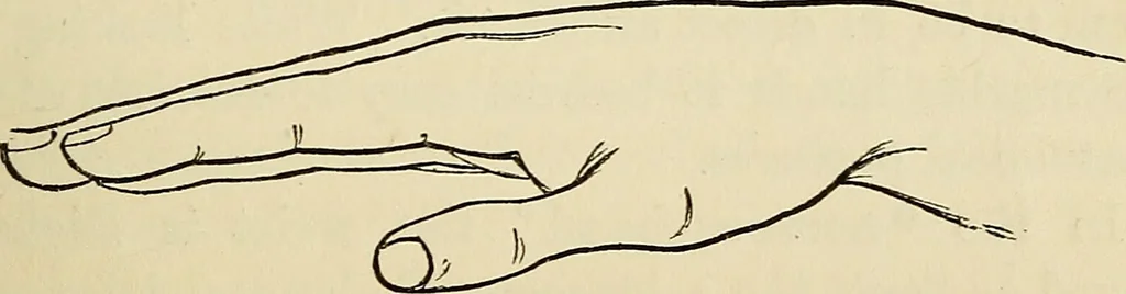 An illustration from Physical expression : its modes and principles, 1885, leaf 188