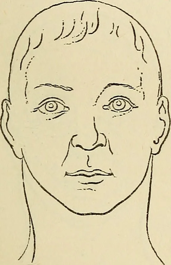 An illustration from Physical expression : its modes and principles, 1885, leaf 334