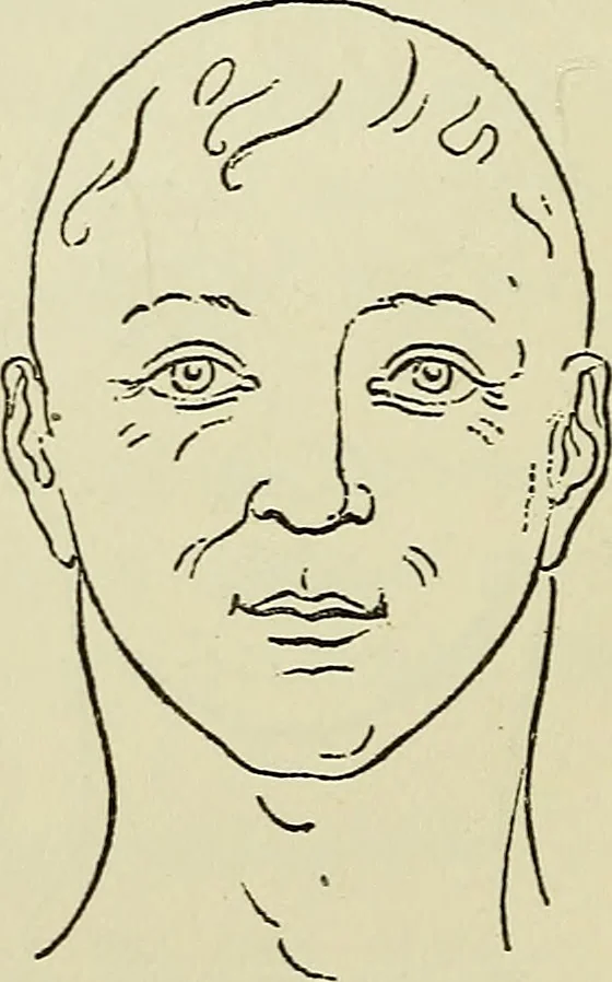 An illustration from Physical expression : its modes and principles, 1885, leaf 335