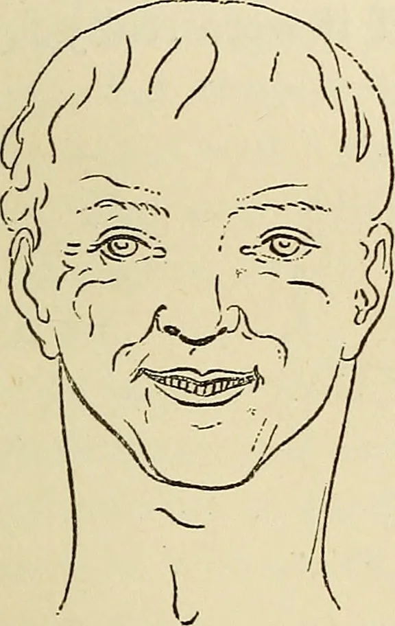 An illustration from Physical expression : its modes and principles, 1885, leaf 336