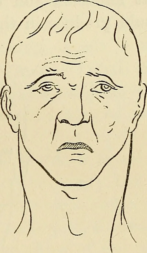An illustration from Physical expression : its modes and principles, 1885, leaf 336
