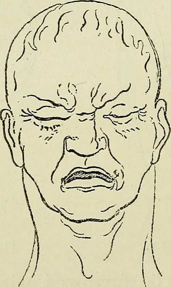 An illustration from Physical expression : its modes and principles, 1885, leaf 337