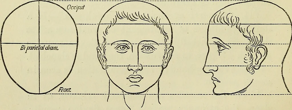 An illustration from Physical expression : its modes and principles, 1885, leaf 347