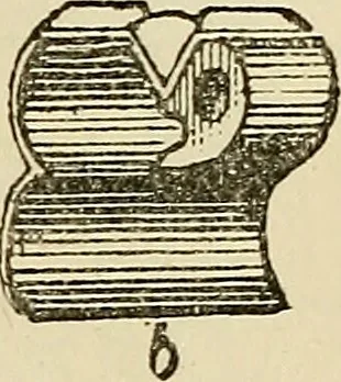 An illustration from Physical expression : its modes and principles, 1885, leaf 378