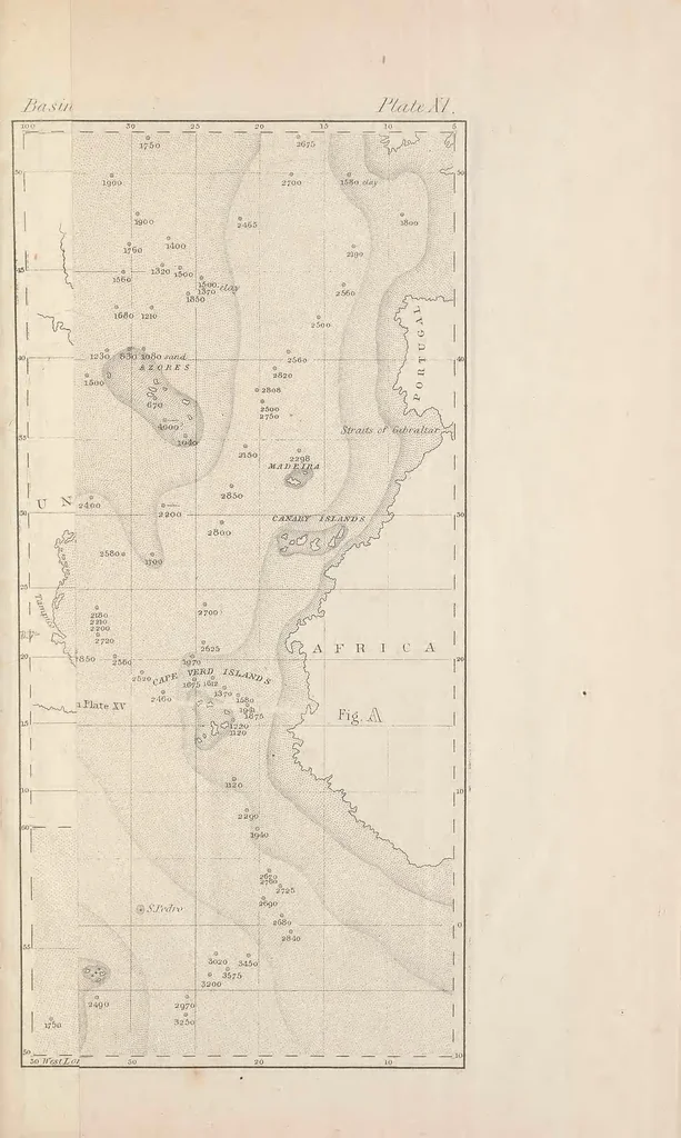 An illustration from The physical geography of the sea, 1855, leaf 305