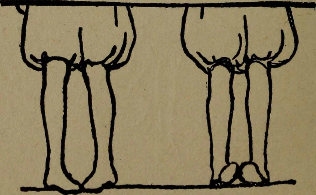An illustration from Physical health and recreation for girls; a handbook for girls and volunteer leaders, 1920, leaf 25