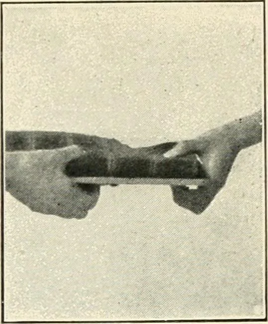 An illustration from The physical phenomena of spiritualism, fraudulent and genuine; being a brief account of the most important historical phenomena; a criticism of their evidential value, and a complete exposition of the methods employed in fraudulently reproducing the same, 1908, leaf 128
