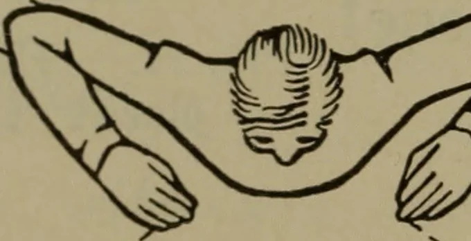 An illustration from Physical training for the elementary schools, gymnastics, games, and rhythmic plays, 1917, leaf 145