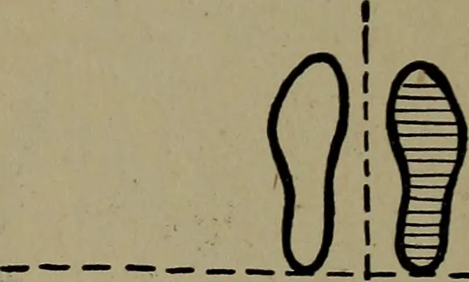 An illustration from Physical training for the elementary schools, gymnastics, games, and rhythmic plays, 1917, leaf 236