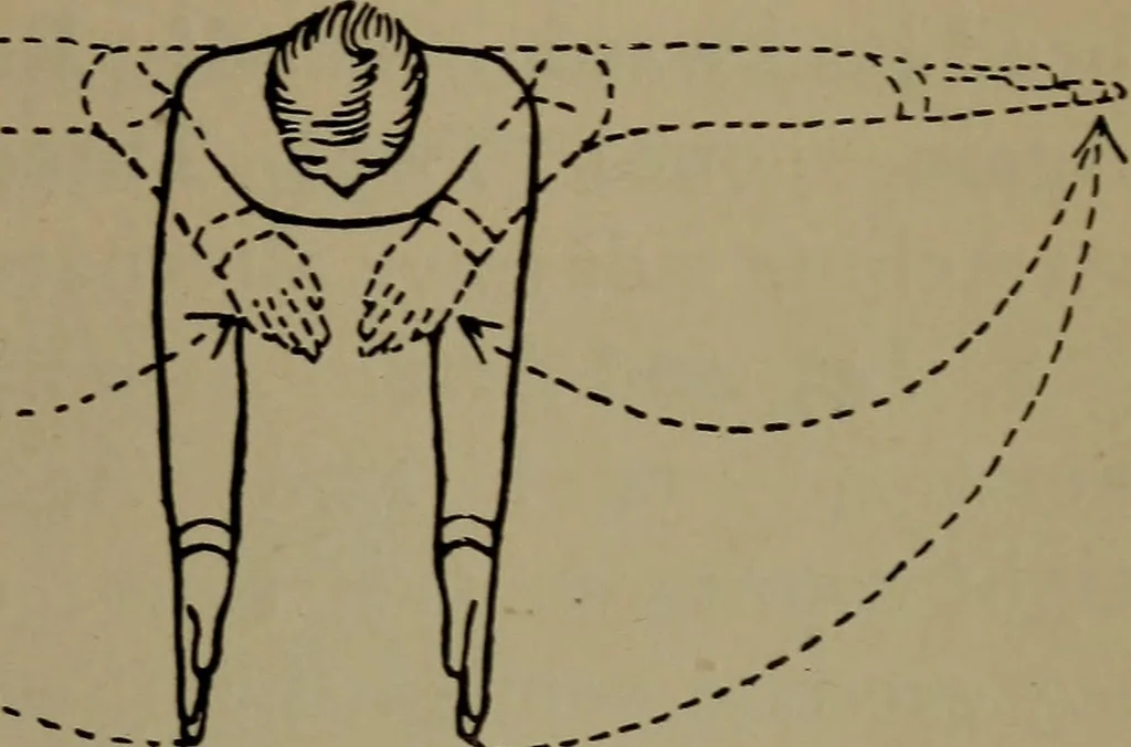 An illustration from Physical training for the elementary schools, gymnastics, games, and rhythmic plays, 1917, leaf 244