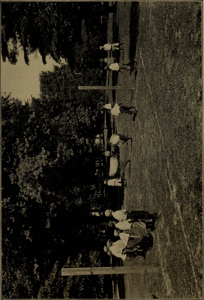 An illustration from Physical training for the elementary schools, gymnastics, games, and rhythmic plays, 1917, leaf 254