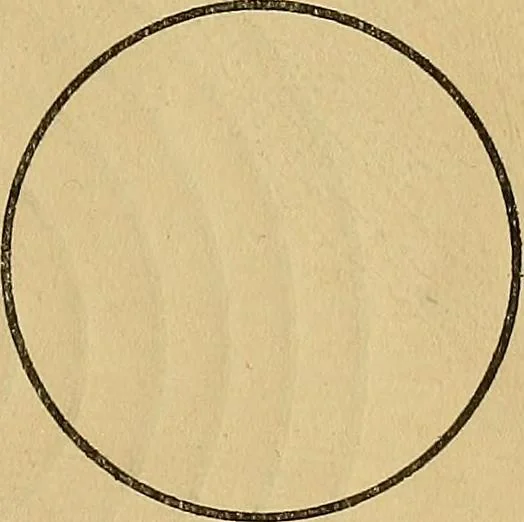 An illustration from Physical training for special classes of the elementary schools:, 1916, leaf 22
