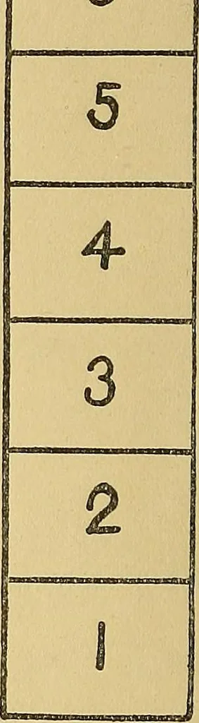 An illustration from Physical training for special classes of the elementary schools:, 1916, leaf 23