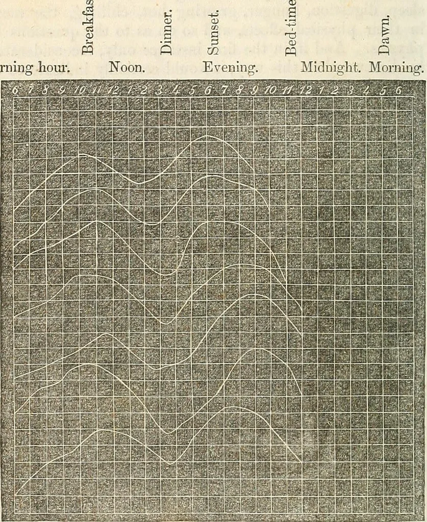 An illustration from Physico-physiological researches on the dynamics of magnetism, electricity, heat, light, crystallization, and chemism, in their relations to vital force, 1851, leaf 205