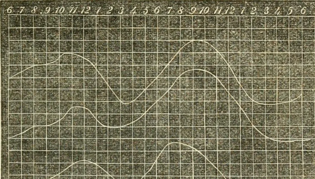 An illustration from Physico-physiological researches on the dynamics of magnetism, electricity, heat, light, crystallization, and chemism, in their relations to vital force, 1851, leaf 208