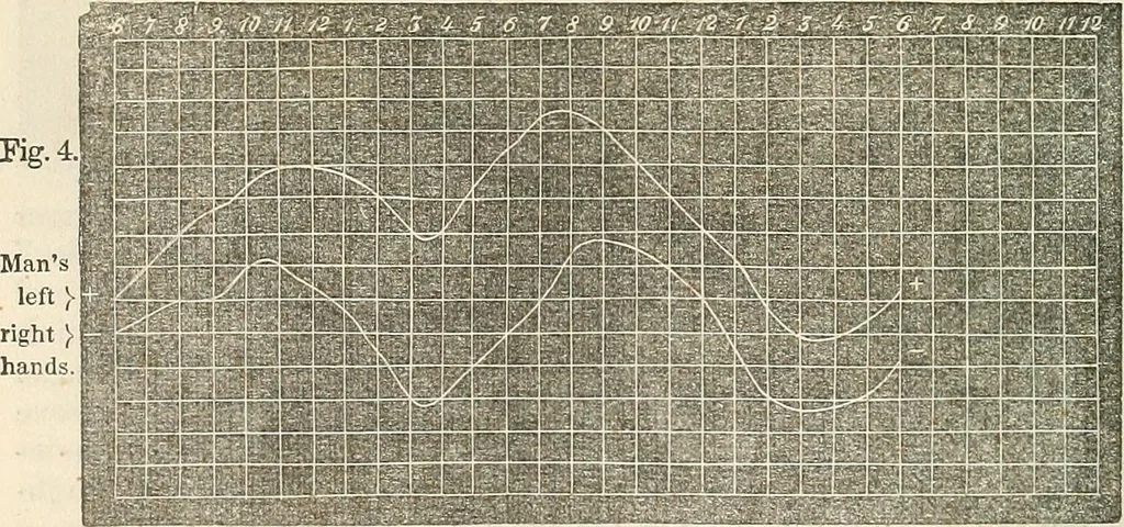 An illustration from Physico-physiological researches on the dynamics of magnetism, electricity, heat, light, crystallization, and chemism, in their relations to vital force, 1851, leaf 209