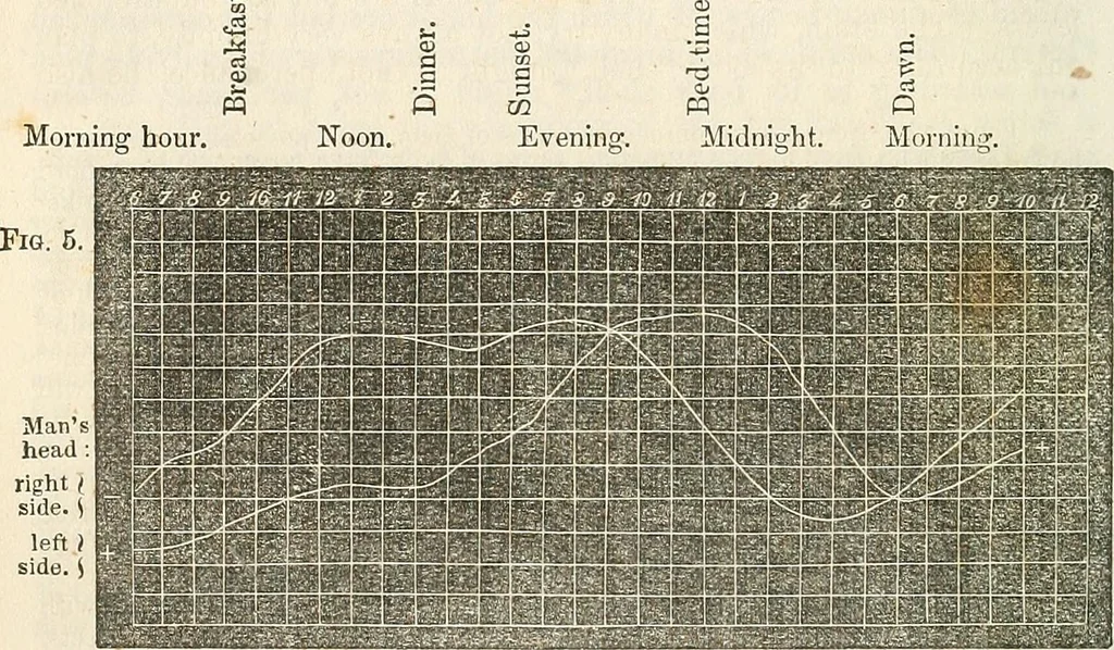 An illustration from Physico-physiological researches on the dynamics of magnetism, electricity, heat, light, crystallization, and chemism, in their relations to vital force, 1851, leaf 211