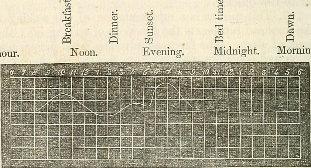 An illustration from Physico-physiological researches on the dynamics of magnetism, electricity, heat, light, crystallization, and chemism, in their relations to vital force, 1851, leaf 215