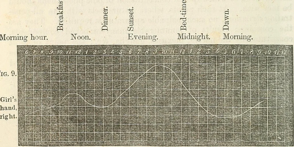 An illustration from Physico-physiological researches on the dynamics of magnetism, electricity, heat, light, crystallization, and chemism, in their relations to vital force, 1851, leaf 217