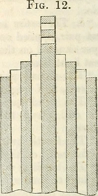 An illustration from Physico-physiological researches on the dynamics of magnetism, electricity, heat, light, crystallization, and chemism, in their relations to vital force, 1851, leaf 285
