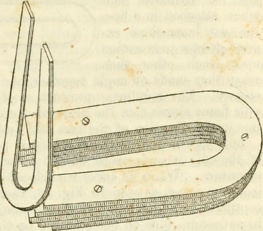 An illustration from Physico-physiological researches on the dynamics of magnetism, electricity, heat, light, crystallization, and chemism, in their relations to vital force, 1851, leaf 294