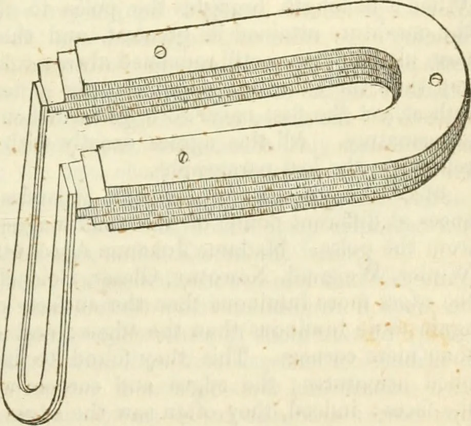 An illustration from Physico-physiological researches on the dynamics of magnetism, electricity, heat, light, crystallization, and chemism, in their relations to vital force, 1851, leaf 294