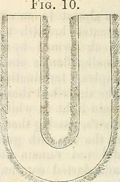 An illustration from Physico-physiological researches on the dynamics of magnetism, electricity, heat, light, crystallization, and chemism, in their relations to vital force, 1851, leaf 33