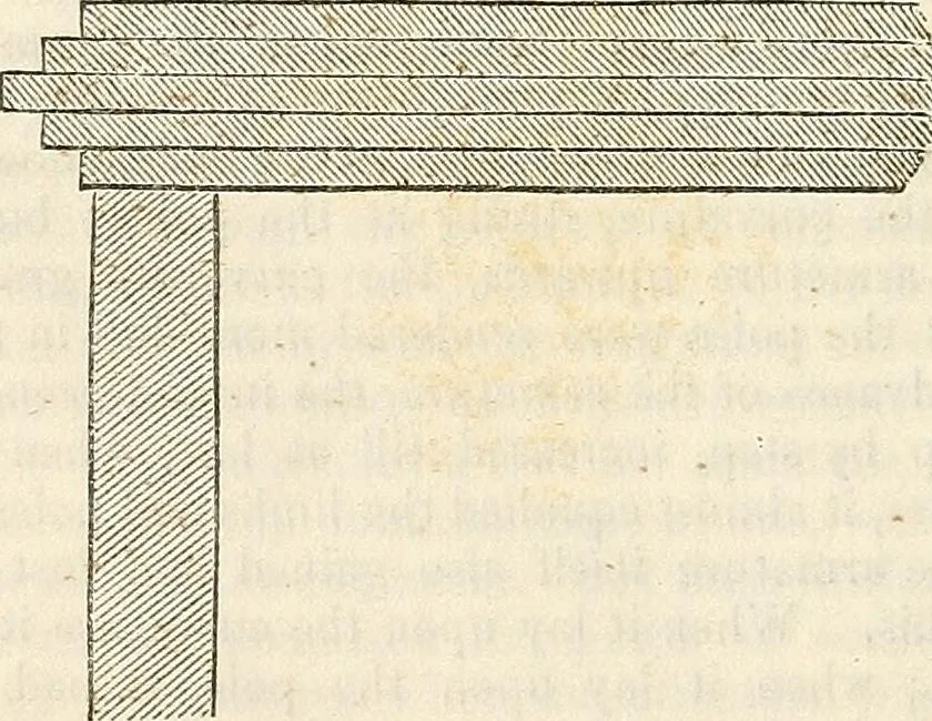 An illustration from Physico-physiological researches on the dynamics of magnetism, electricity, heat, light, crystallization, and chemism, in their relations to vital force, 1851, leaf 333