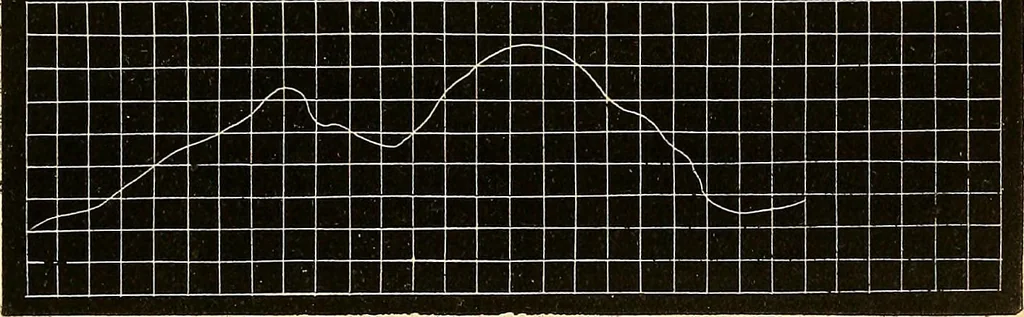 An illustration from Physico-physiological researches on the dynamics of magnetism, electricity, heat, light, crystallization, and chemism, in their relations to vital force, 1851, leaf 306
