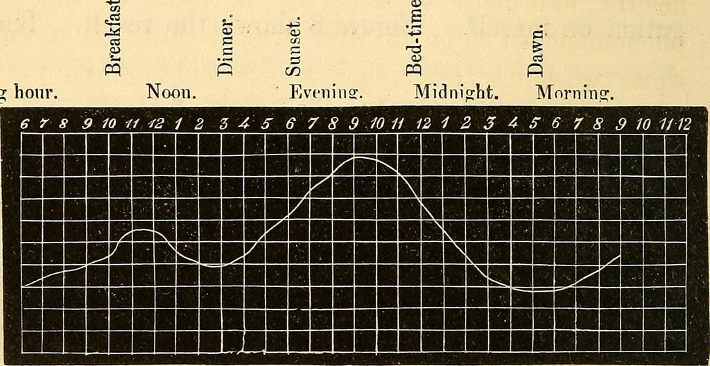 An illustration from Physico-physiological researches on the dynamics of magnetism, electricity, heat, light, crystallization, and chemism, in their relations to vital force, 1851, leaf 307