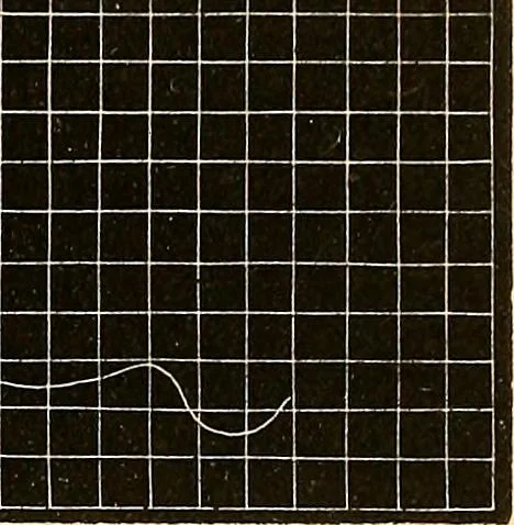 An illustration from Physico-physiological researches on the dynamics of magnetism, electricity, heat, light, crystallization, and chemism, in their relations to vital force, 1851, leaf 308
