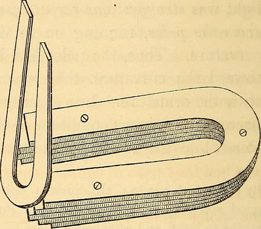 An illustration from Physico-physiological researches on the dynamics of magnetism, electricity, heat, light, crystallization, and chemism, in their relations to vital force, 1851, leaf 405