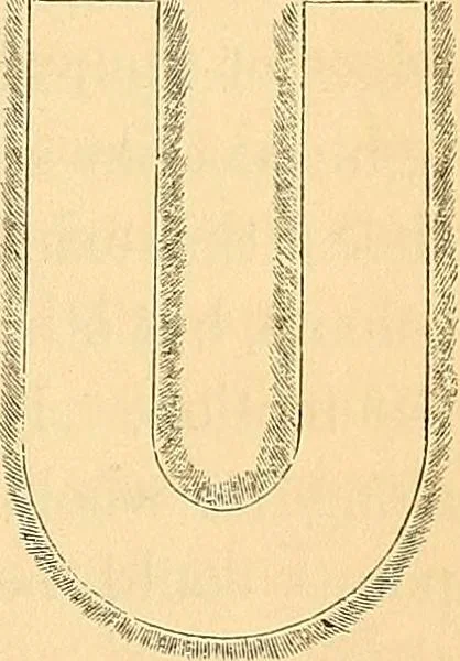 An illustration from Physico-physiological researches on the dynamics of magnetism, electricity, heat, light, crystallization, and chemism, in their relations to vital force, 1851, leaf 52
