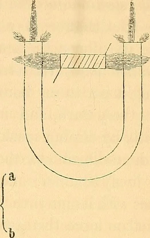 An illustration from Physico-physiological researches on the dynamics of magnetism, electricity, heat, light, crystallization, and chemism, in their relations to vital force, 1851, leaf 56