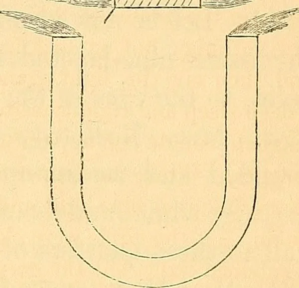 An illustration from Physico-physiological researches on the dynamics of magnetism, electricity, heat, light, crystallization, and chemism, in their relations to vital force, 1851, leaf 56