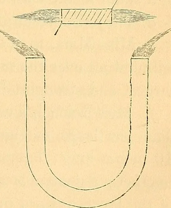 An illustration from Physico-physiological researches on the dynamics of magnetism, electricity, heat, light, crystallization, and chemism, in their relations to vital force, 1851, leaf 56