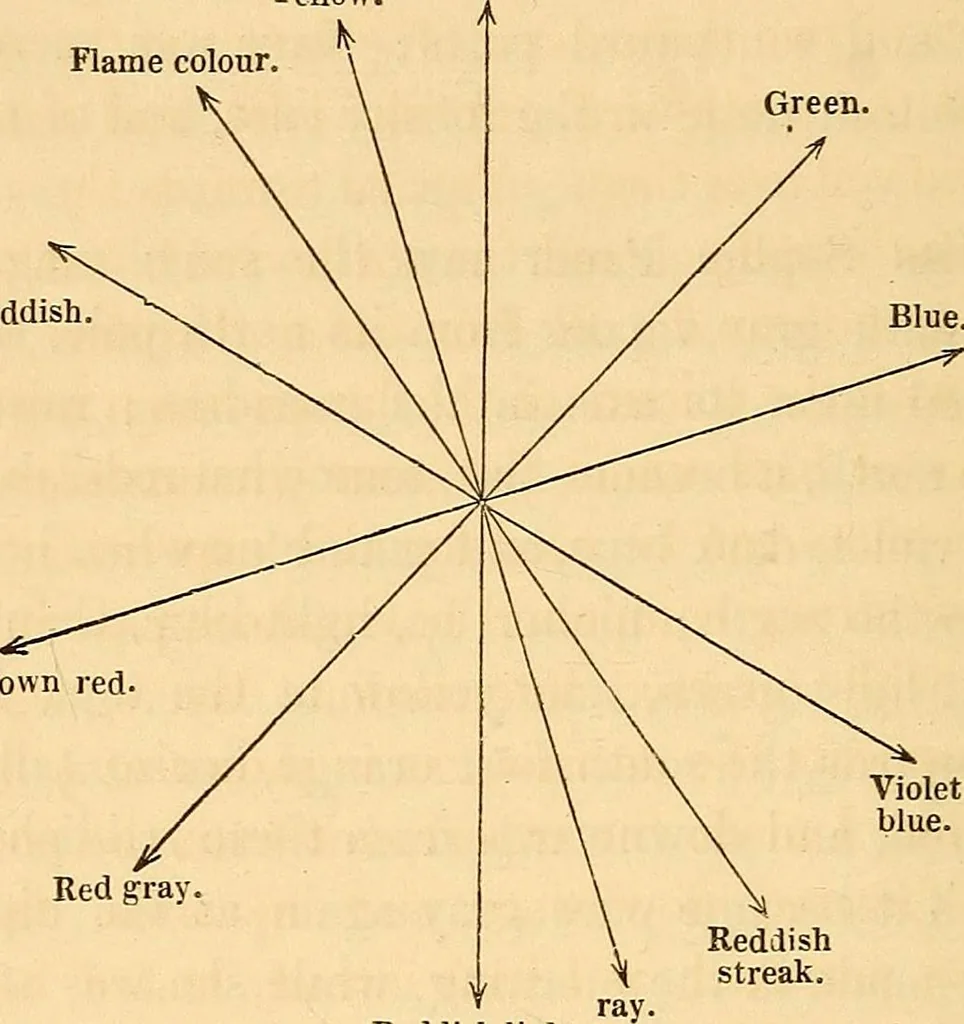 An illustration from Physico-physiological researches on the dynamics of magnetism, electricity, heat, light, crystallization, and chemism, in their relations to vital force, 1851, leaf 573