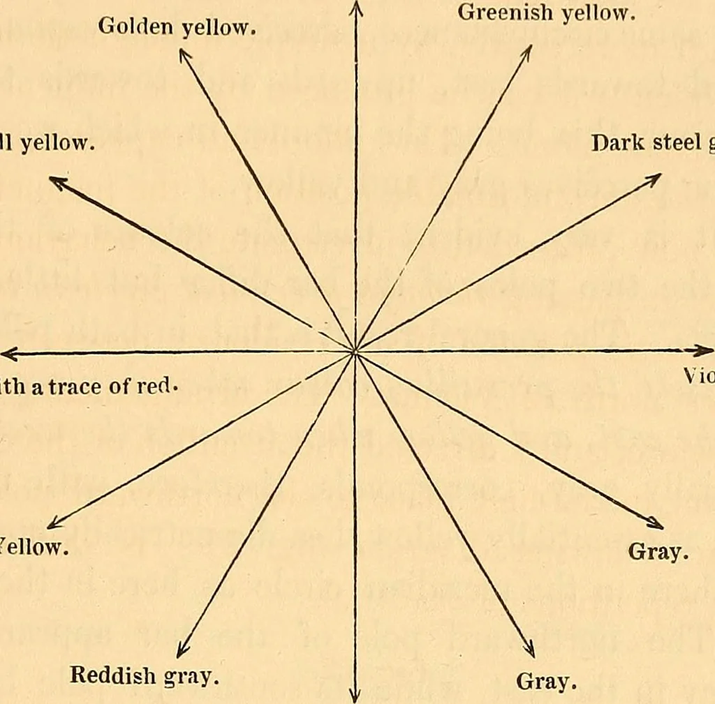 An illustration from Physico-physiological researches on the dynamics of magnetism, electricity, heat, light, crystallization, and chemism, in their relations to vital force, 1851, leaf 578