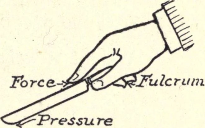 An illustration from Physics of the household, 1914, leaf 22