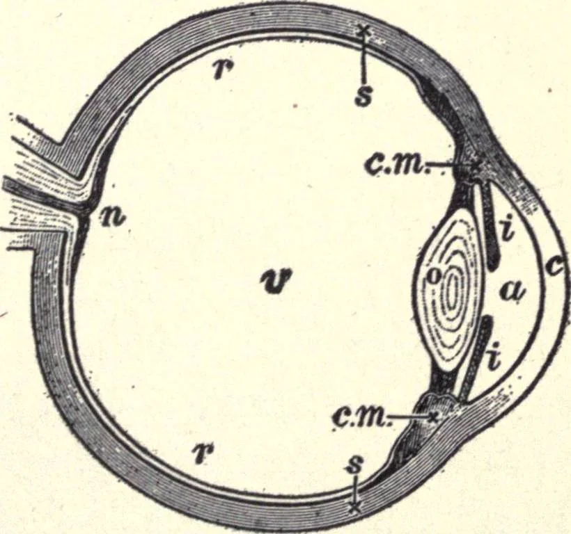 An illustration from Physics of the household, 1914, leaf 278