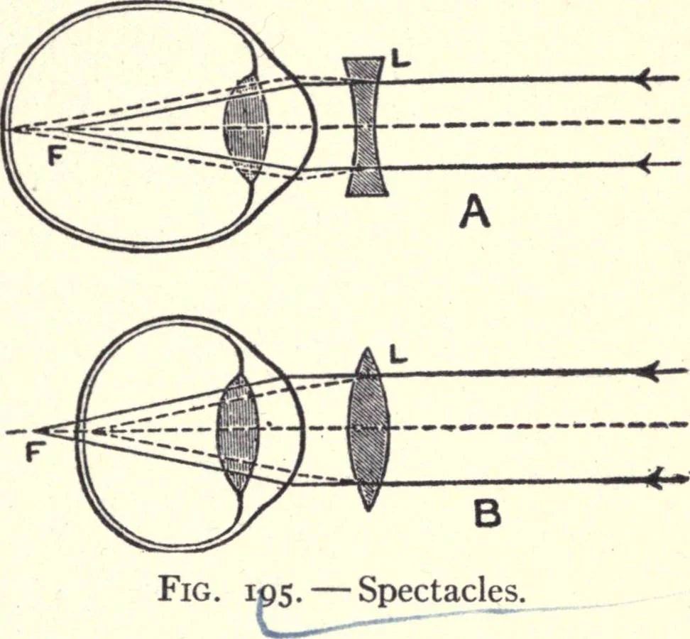 An illustration from Physics of the household, 1914, leaf 280