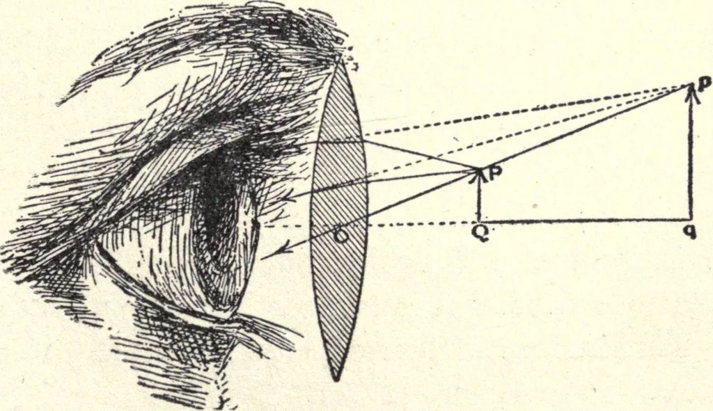An illustration from Physics of the household, 1914, leaf 280