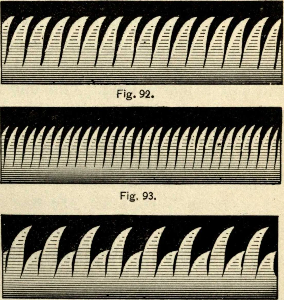 An illustration from Physics for university students, 1896, leaf 220